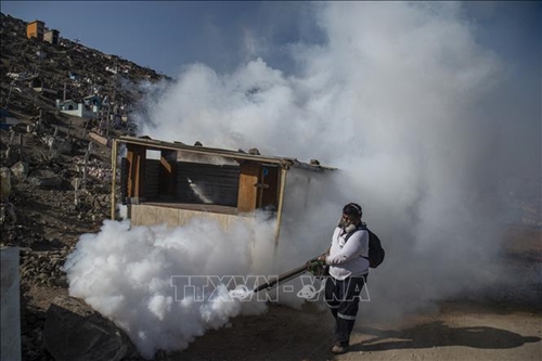 Tử vong do sốt xuất huyết ở Peru tăng cao do biến đổi khí hậu thúc đẩy muỗi sinh sản