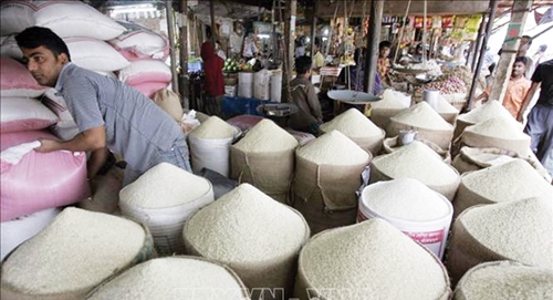 Thị trường toàn cầu thắt chặt, giá gạo có thể tiếp tục tăng cao trong năm 2024