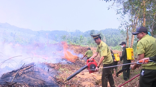 Diễn tập chữa cháy rừng tại Hương Trà