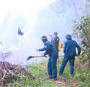 Diễn tập chữa cháy rừng tại Hương Trà