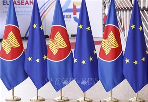 Hợp tác thương mại kỹ thuật số Viên gạch góp phần xây dựng Hiệp định thương mại tự do EU - ASEAN