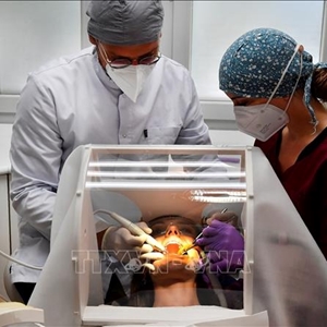 Thuốc tái tạo răng đầu tiên trên thế giới sẽ được thử nghiệm tại Nhật Bản