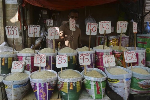 FAO Giá lương thực thế giới tiếp tục tăng trong tháng 4