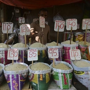 FAO Giá lương thực thế giới tiếp tục tăng trong tháng 4