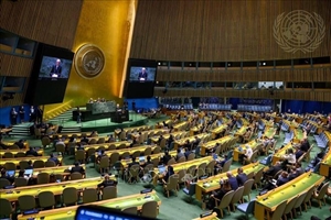 Việt Nam ủng hộ nghị quyết về vấn đề thành viên Liên hợp quốc của Palestine