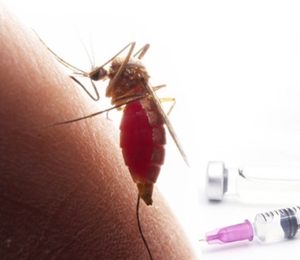 WHO phê duyệt vaccine sốt xuất huyết thứ hai, mở rộng khả năng tiếp cận toàn cầu