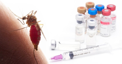 WHO phê duyệt vaccine sốt xuất huyết thứ hai, mở rộng khả năng tiếp cận toàn cầu