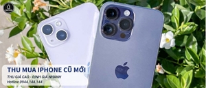 Táo Việt Store - Cung cấp dịch vụ thu mua iPhone cũ giá cao