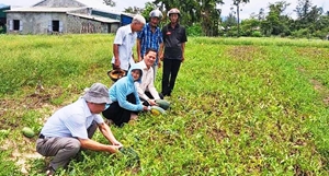 Phú Lộc phát huy vai trò chủ thể của nông dân