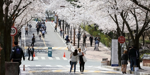 Hàn Quốc mở rộng cơ hội thị thực và việc làm cho sinh viên nước ngoài