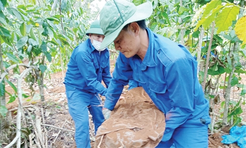 Hành trình gian nan tìm mộ liệt sĩ trên đất bạn Lào