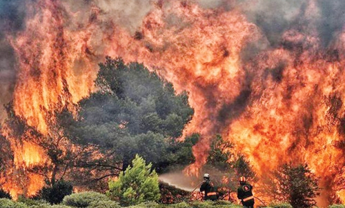 Thế giới chưa chuẩn bị tốt cho các vụ cháy rừng ngày càng nghiêm trọng do biến đổi khí hậu