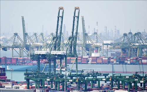 Tình trạng tắc nghẽn ở một số cảng châu Á có thể kéo dài đến tháng 8