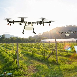 “Cái nôi” của đổi mới sáng tạo công nghệ nông nghiệp do AI thúc đẩy