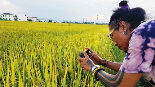 Rice fields tell stories about art