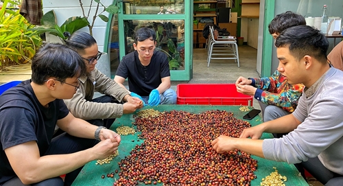 Interests in workshop on preliminary process of coffee berries