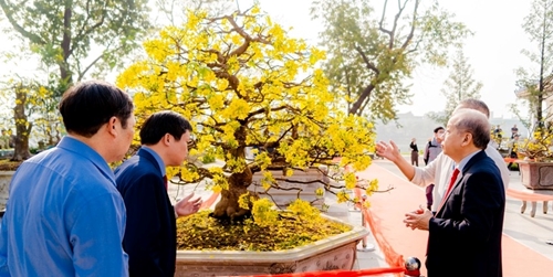 Nearly 400 outstanding works participate in the Yellow Apricot Festival in Hue