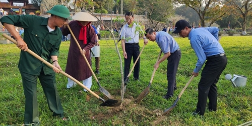 500 native trees and specific trees planted in the tomb of Emperor Gia Long