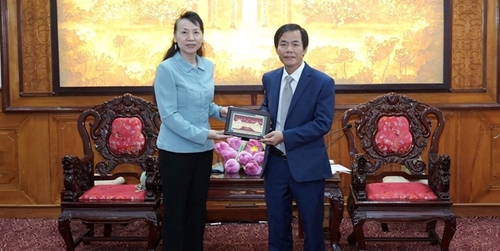 Expanding cooperation with Chinese localities