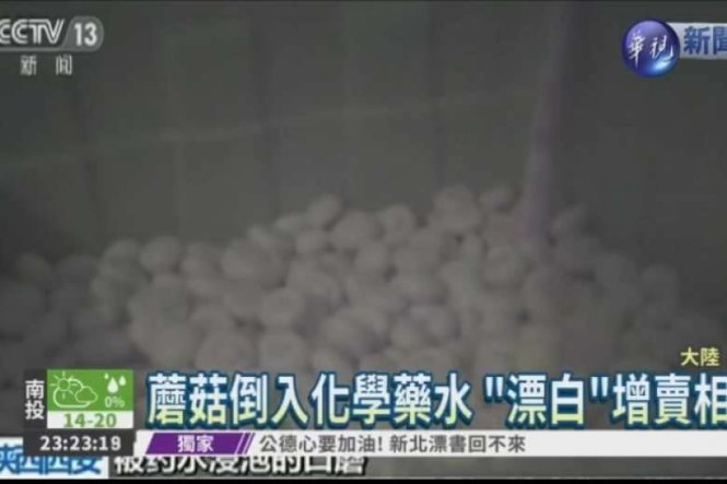 Nhà cung cấp Trung Quốc dùng hóa chất làm tươi nấm 