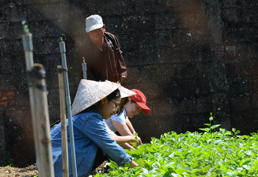 After the river journey, guests continue to play as farmers in the green vegetable garden