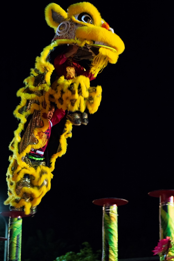 A “Mai Hoa Thung” performance - one of the special items attracting viewers