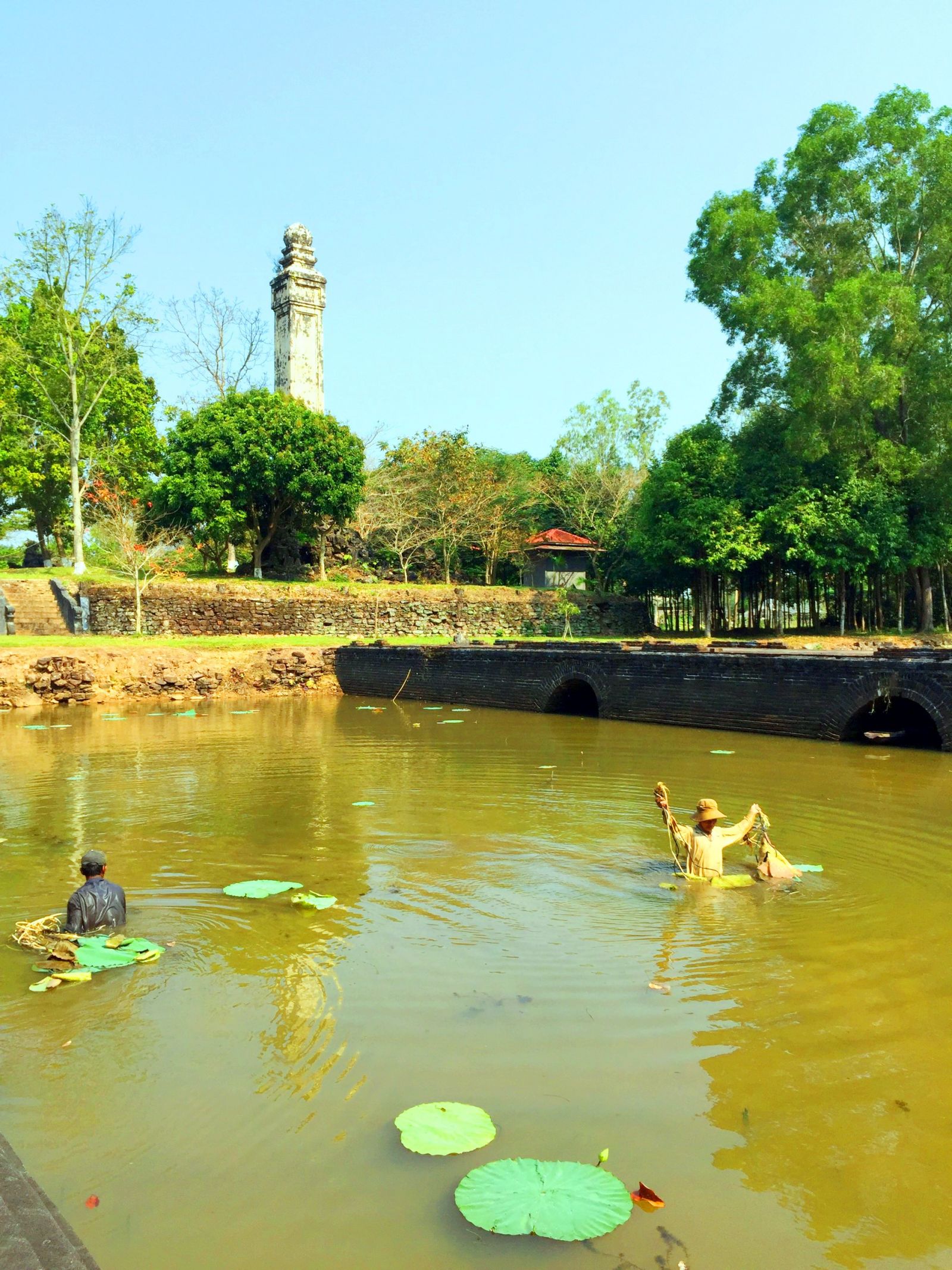 After An Hoa gate, the lake at Thieu Tri tomb was also planted with lotus. In its blooming season, the lotus will create more impression to the landscape here
