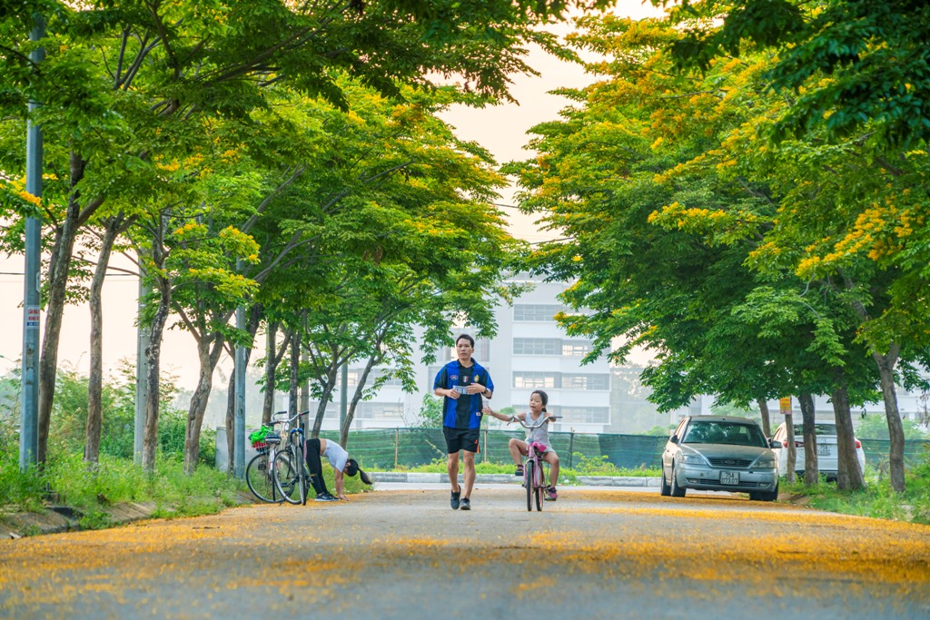An adorable scenery of a family enlisting doing exercise in the early morning 