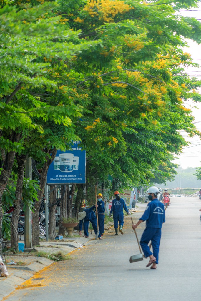 The sanitation workers on their duty on the streets that are yellow-dyed by the flower color