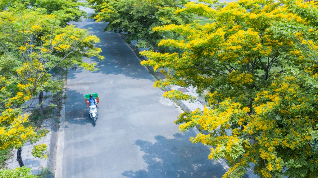 An aerial photo about a dreamlike scenery of a street in Xuan Phu new urban area