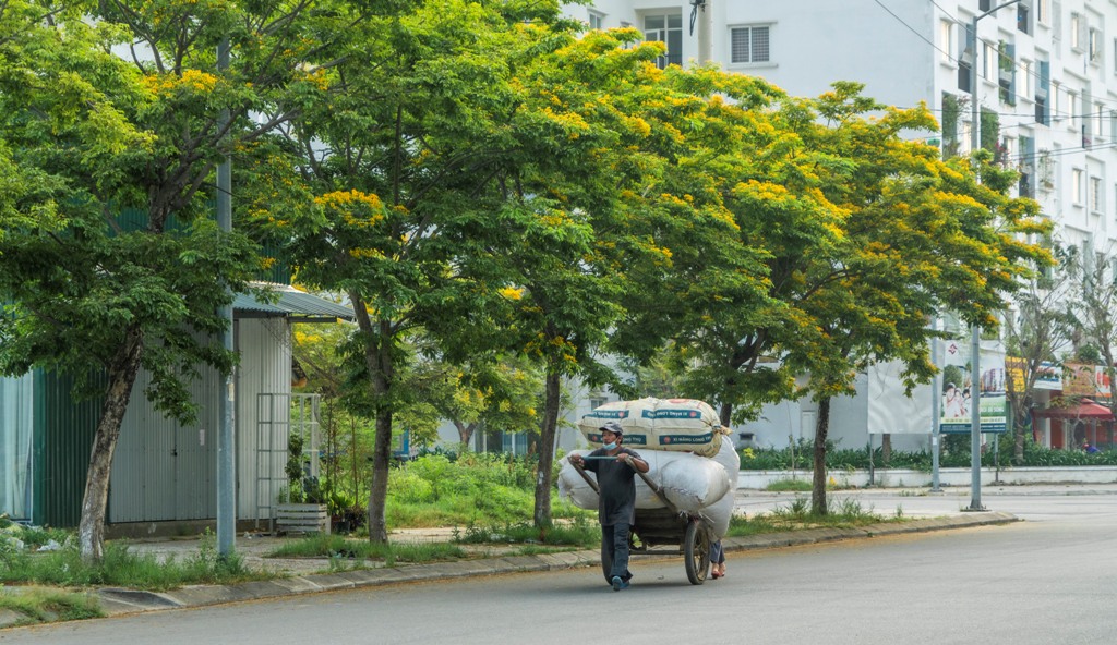 A rickshaw worker passing the street shaded by flowers
