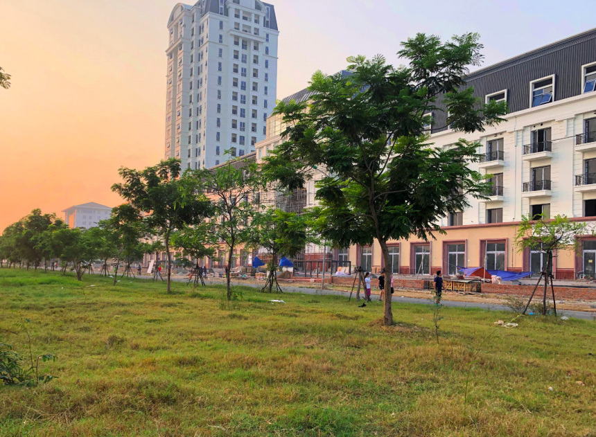 Greening An Van Duong new urban area