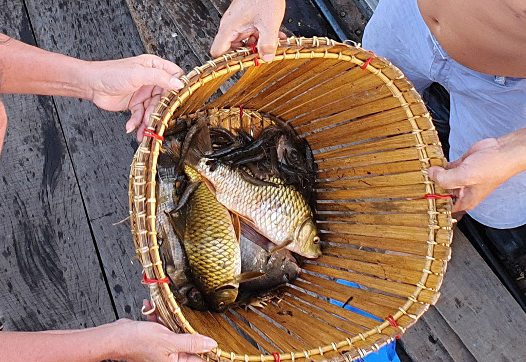 Seafood is harvested after “đổ nò”