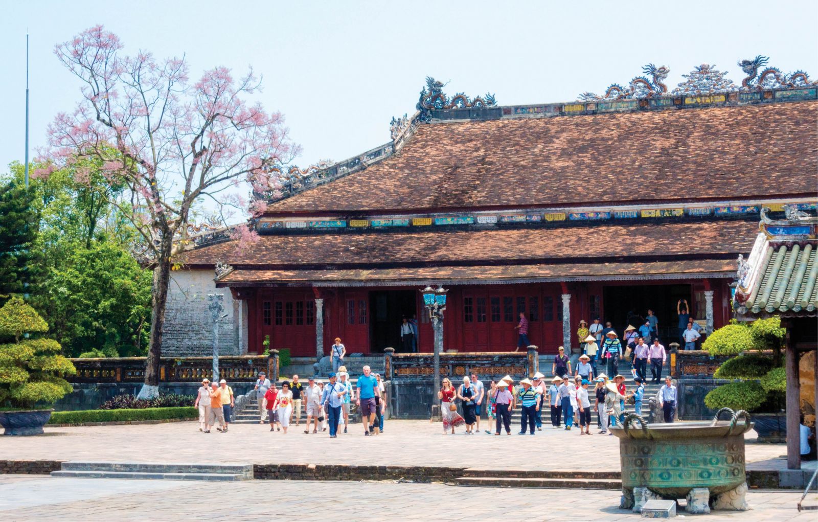 Tourists visiting the Imperial Citadel in the season of blooming Parasol Flowers