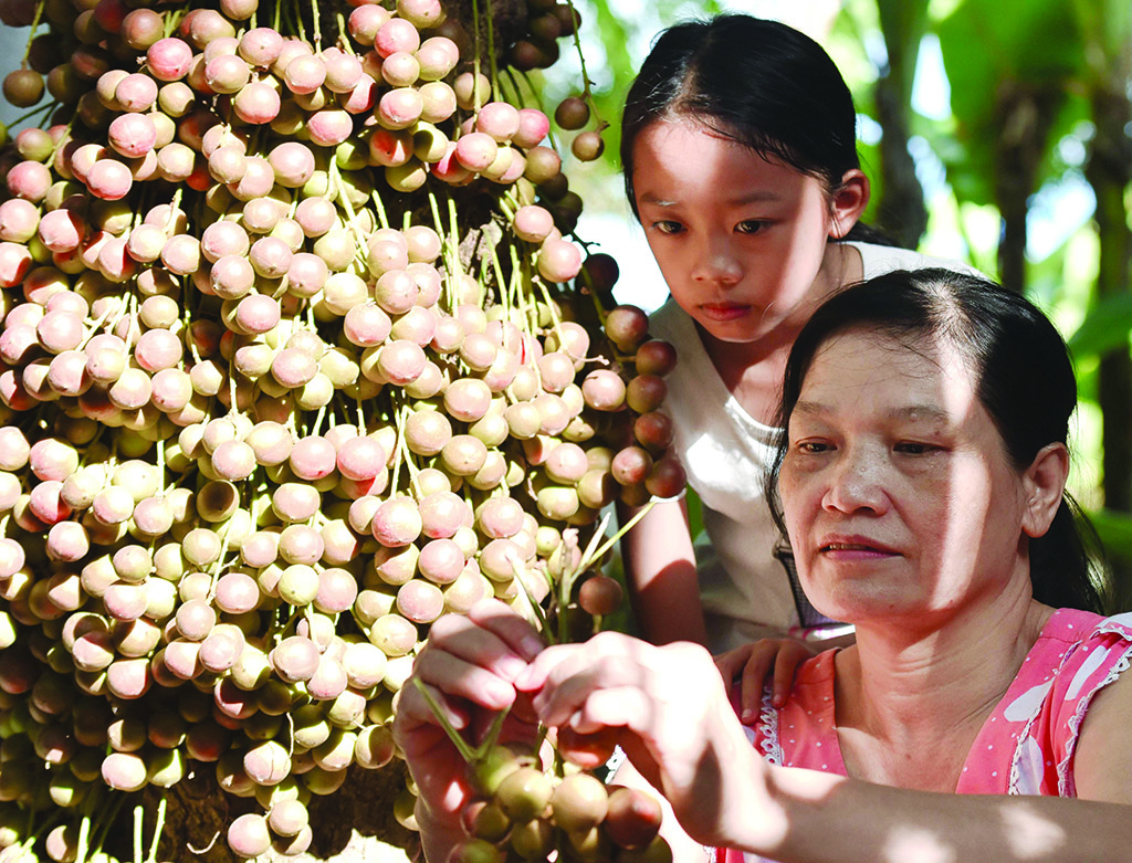 The “girl group”, including children, have a passion for the sweet and sour mulberries