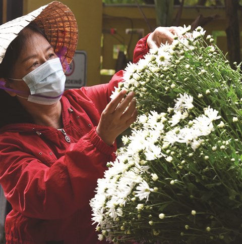 Taking care of each flower branch after the shipping process