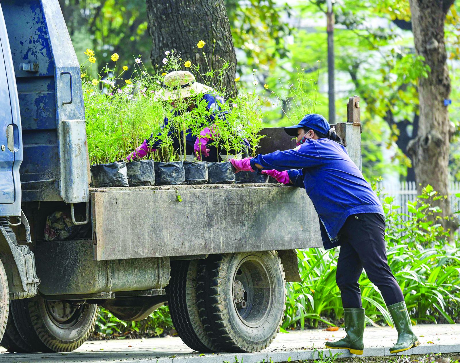Moving flowers and plants to the streets