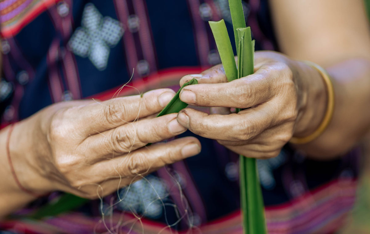 Hands with more than 40 years of seniority stripping A'anh chac leaves to knit mats