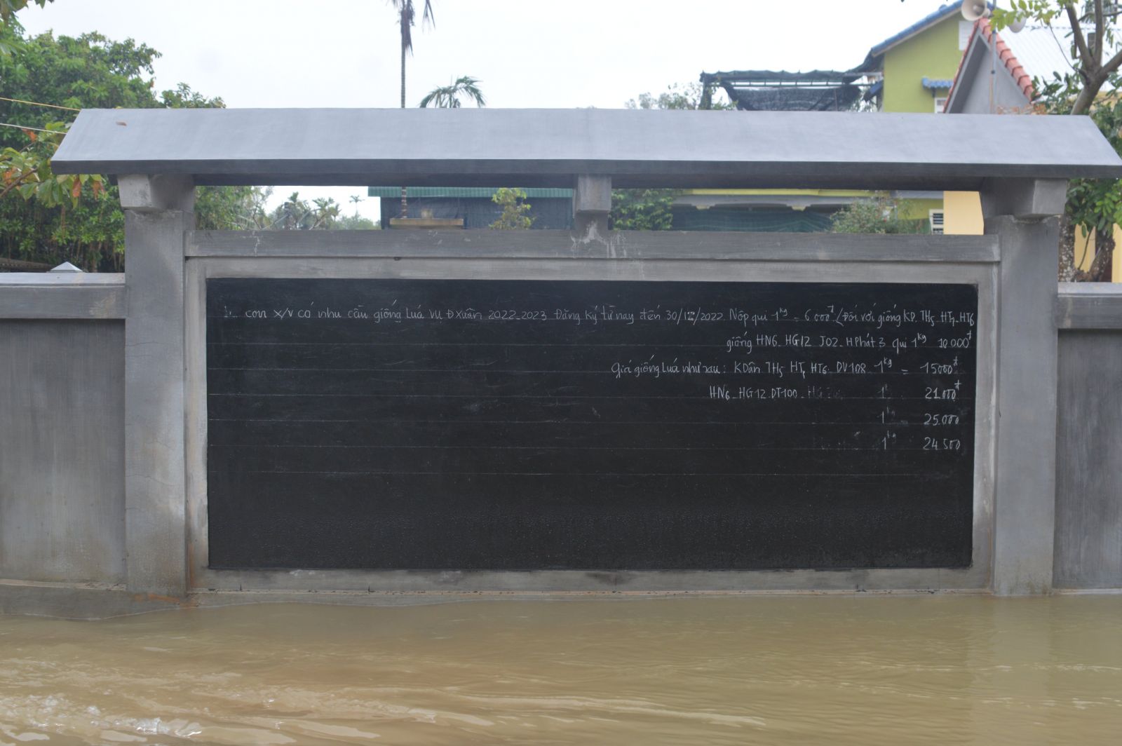 Floodwater rising to the edge of the notice board of Xuan Tuy Village