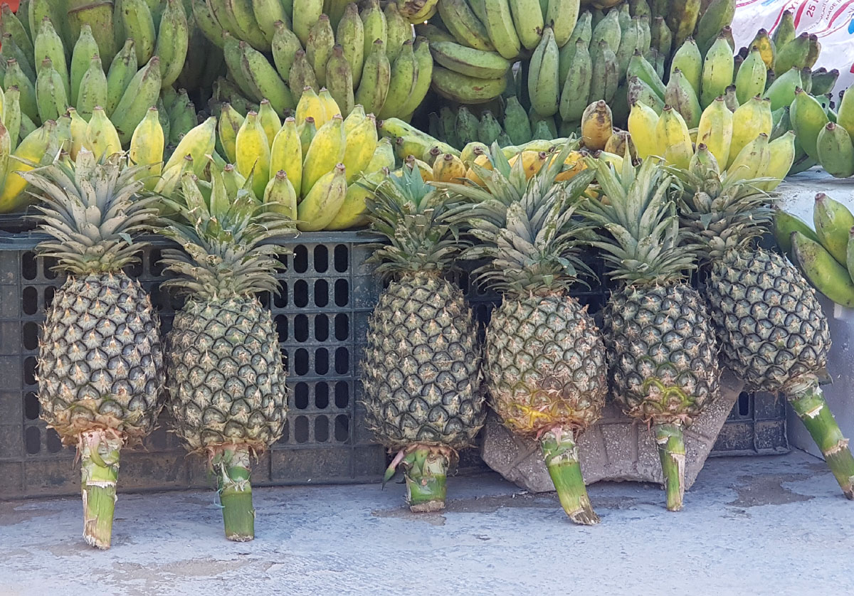 Bananas and pineapples being the two most prevalent items at the fair