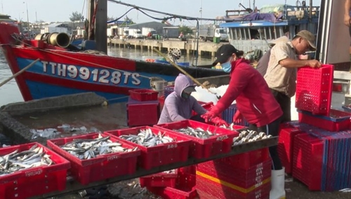 Bản tin kinh tế thị trường Chênh lệch giá hải sản, ngư dân thiệt đủ đường