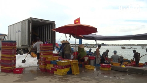Bản tin kinh tế ngày 4 9 Đảm bảo an toàn phòng dịch tại cảng Thuận An