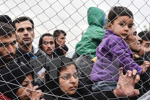 EC đánh giá cao sáng kiến hạn chế người di cư của Italy