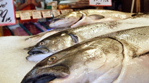 LHQ Người dân trên thế giới đang ăn cá nhiều hơn