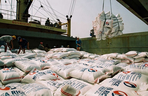 Thêm doanh nghiệp xuất khẩu gạo vào Mỹ bị cảnh báo