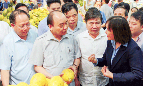 Nghĩ về Chính phủ kiến tạo