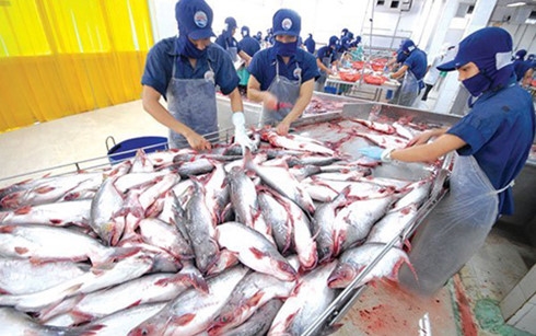 Giá trị xuất khẩu thủy sản được dự báo tiếp tục tăng trưởng