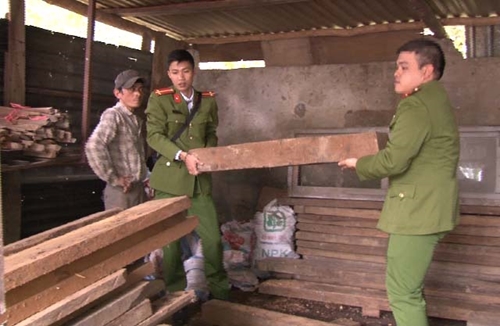 Bắt giữ 63 phách gỗ lậu tại xưởng cưa trên đường Lê Ngô Cát