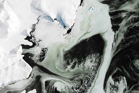 Bí ẩn nằm sau những tảng băng xanh kỳ lạ ở Nam Cực