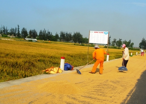 Thua Thien-Hue focuses on agricultural restructuring